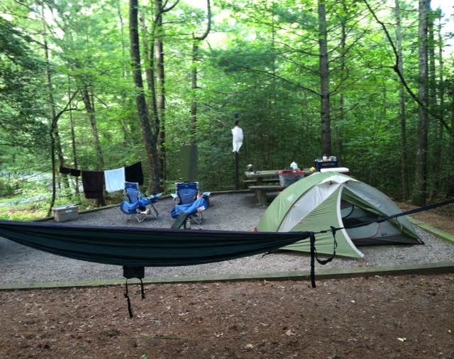 Bran P.'s photo at Lake Powhatan — National Forests In North Carolina near Fletcher, NC