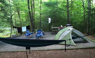 Bran P.'s photo at Lake Powhatan — National Forests In North Carolina near Arden, NC