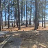 Review photo of Sweetwater Campground by carolyn , March 22, 2021