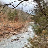 Review photo of Devil's Den State Park Campground by Rebecca , March 22, 2021