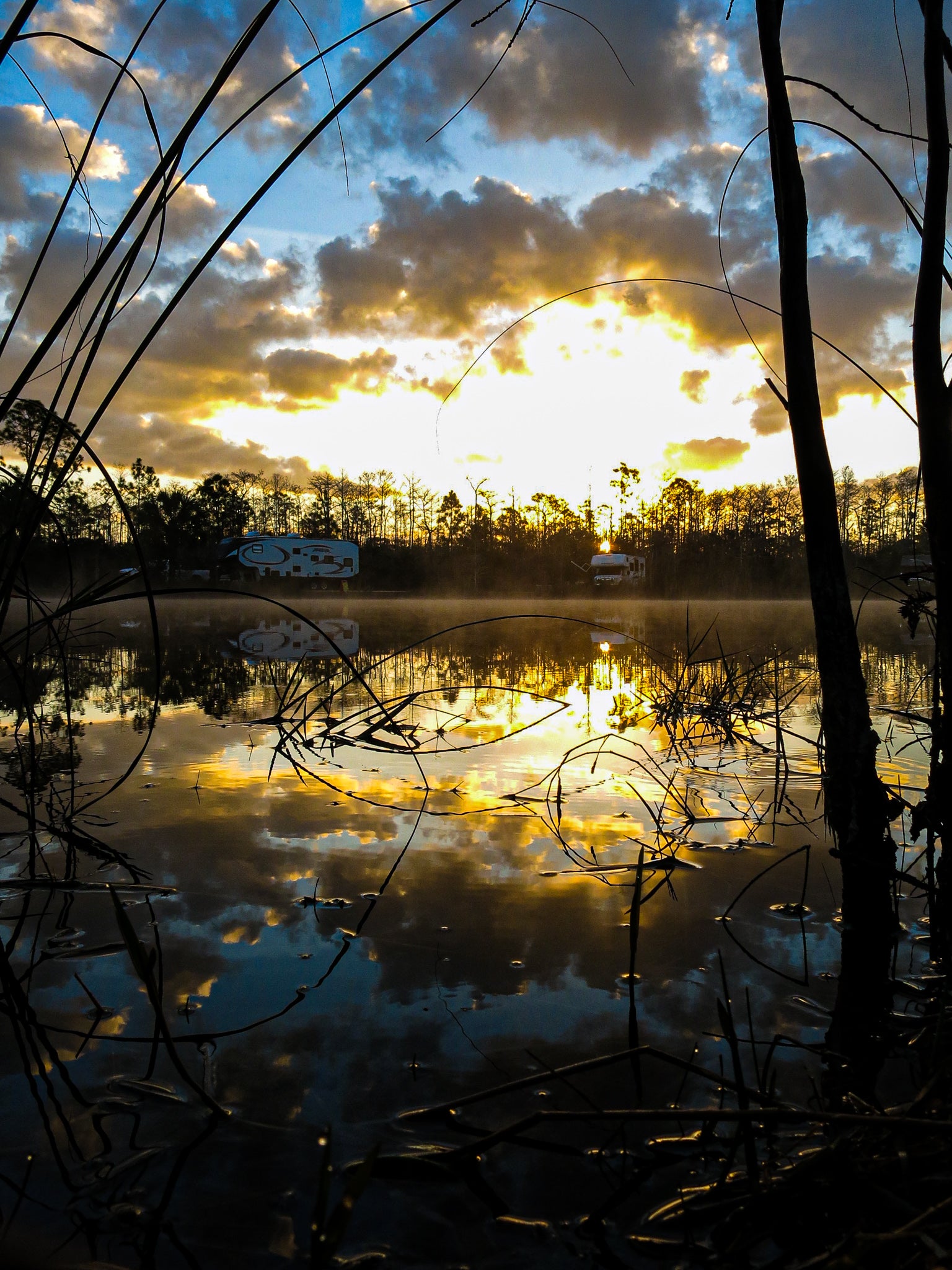 Camper submitted image from Burns Lake Campground — Big Cypress National Preserve - 1
