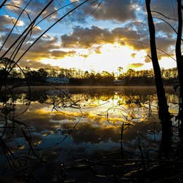 Burns Lake Campground — Big Cypress National Preserve