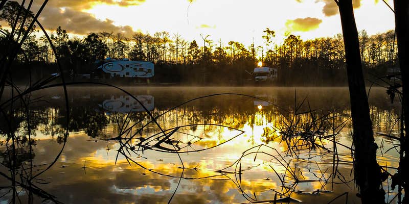 Camper submitted image from Burns Lake Campground — Big Cypress National Preserve