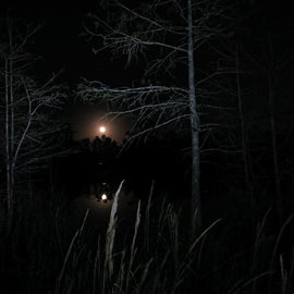 Moonrise over Burns Lake