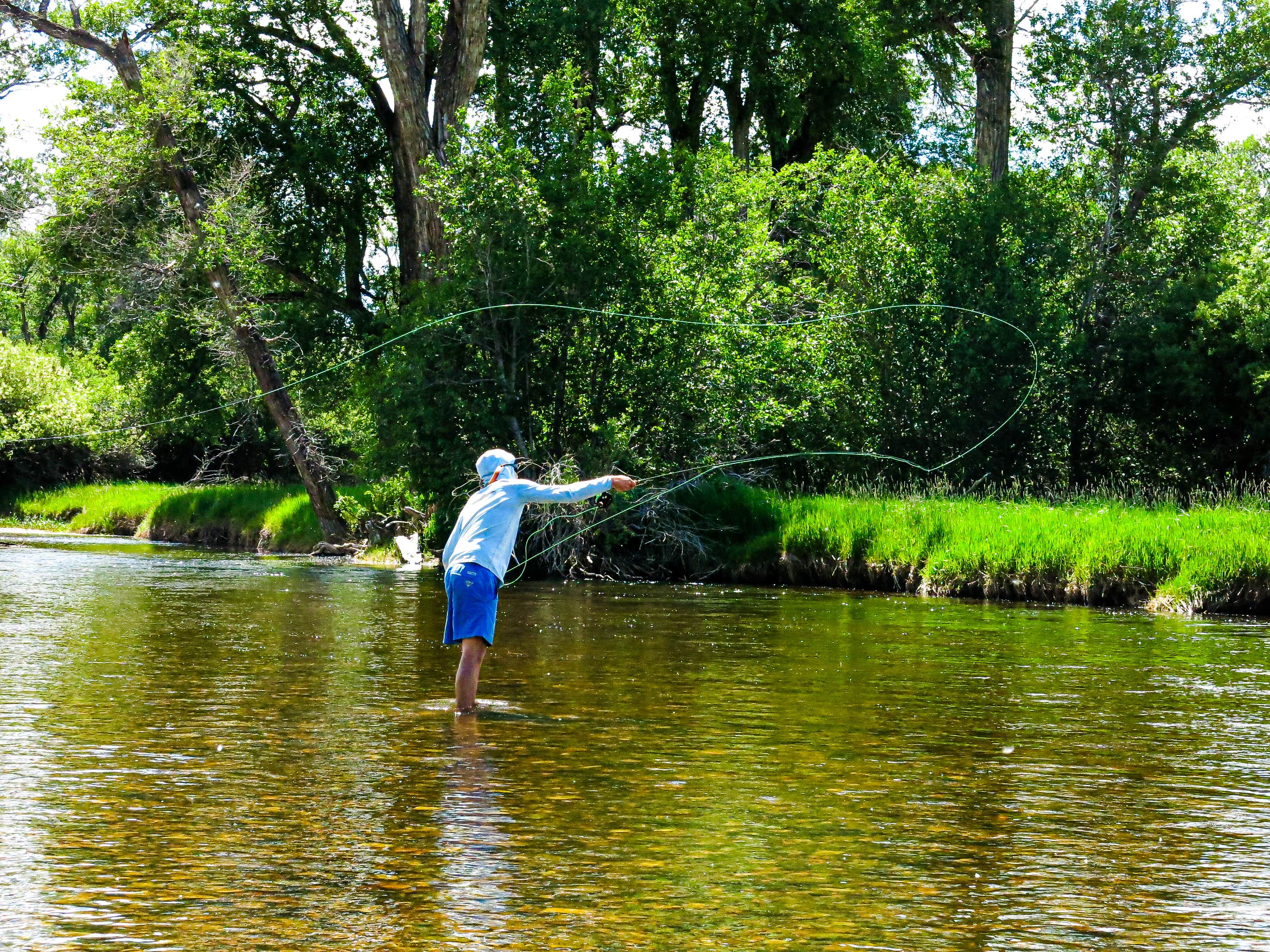 Camper-submitted photo at Encampment River Campground — Bureau Of Land Management near Medicine Bow-Routt National Forests and Thunder Basin National Grassland