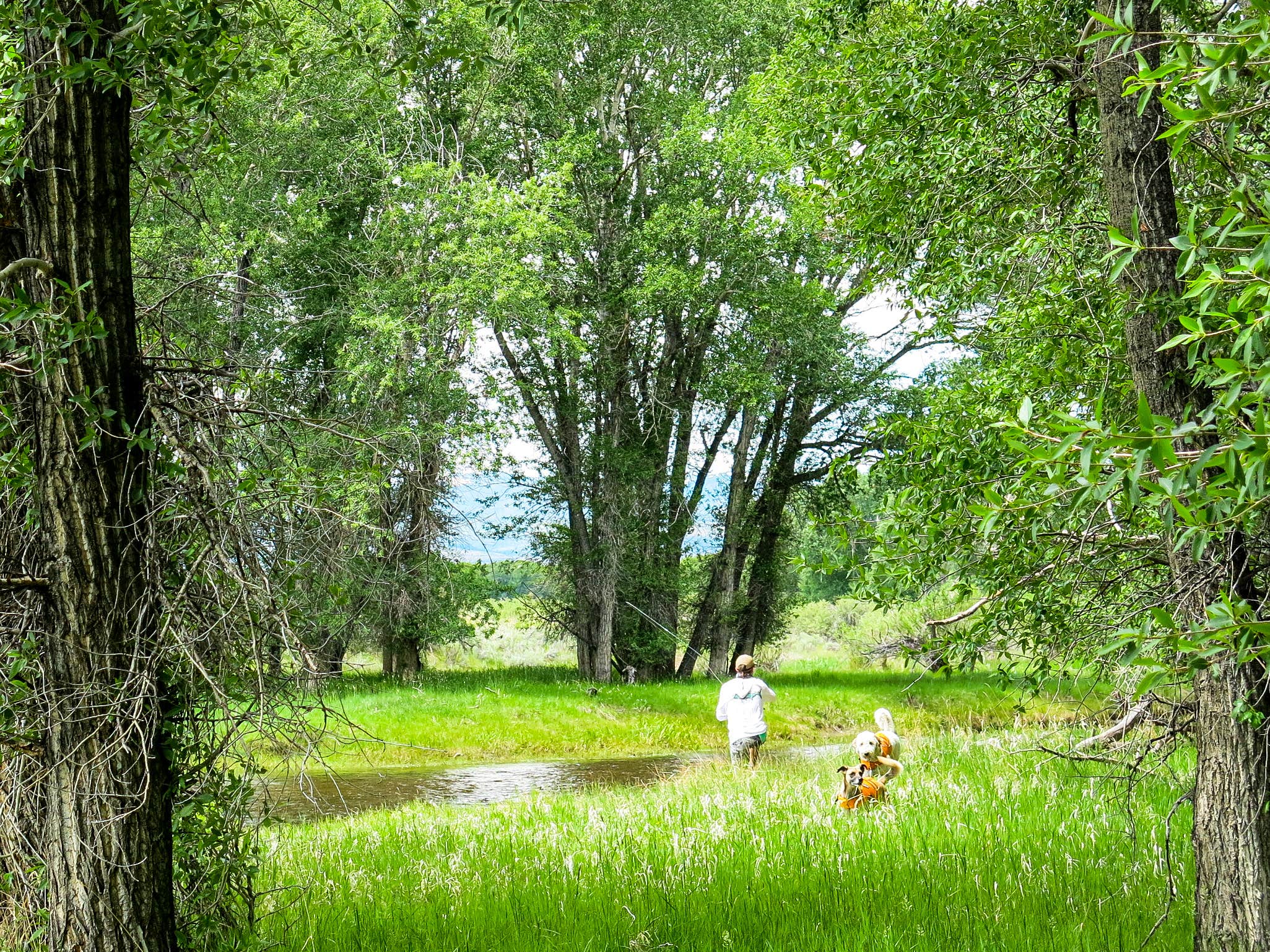 Camper submitted image from Encampment River Campground — Bureau Of Land Management - 5