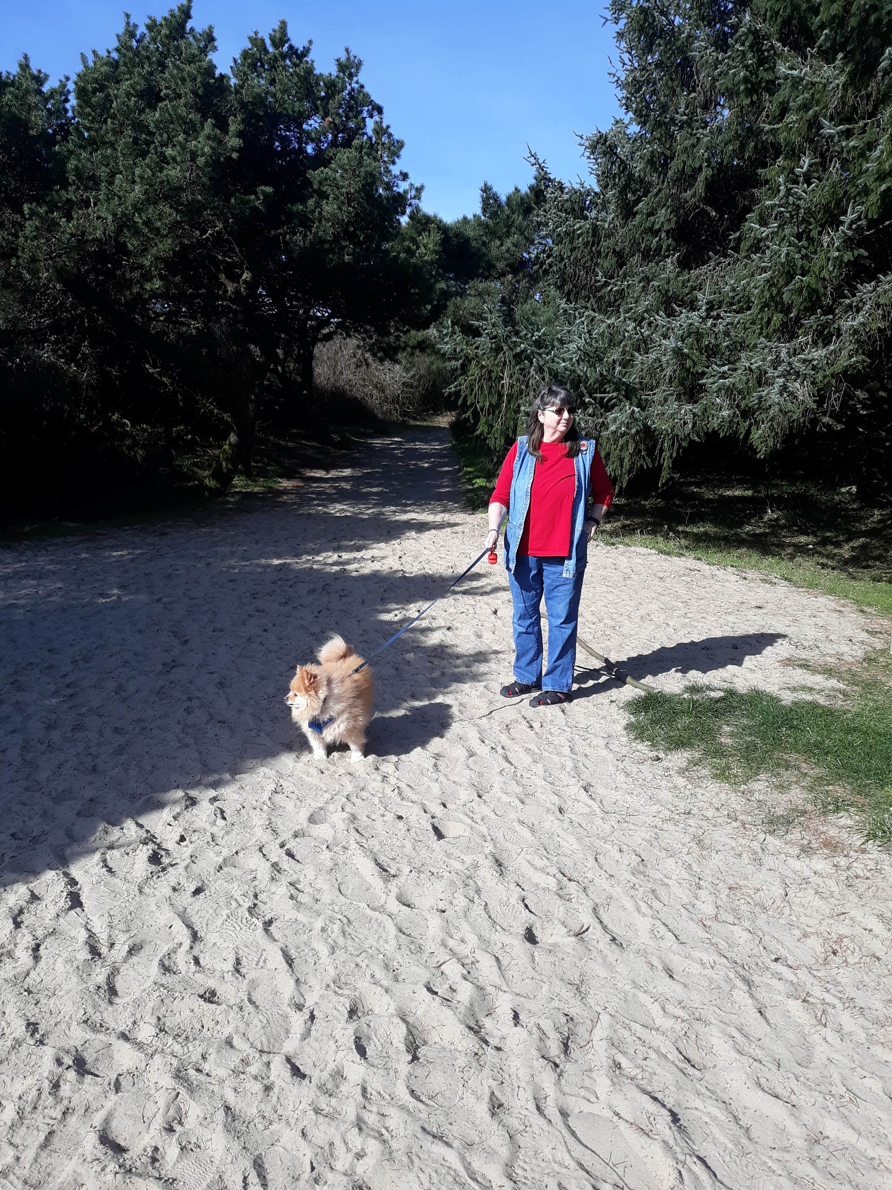 Robert D.'s photo of camping with pets at Nehalem Bay State Park Campground near Cannon Beach, OR