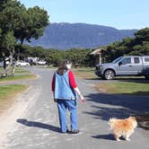 Review photo of Nehalem Bay State Park Campground by Robert D., March 22, 2021