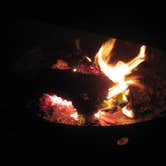 Review photo of Nehalem Bay State Park Campground by Robert D., March 22, 2021