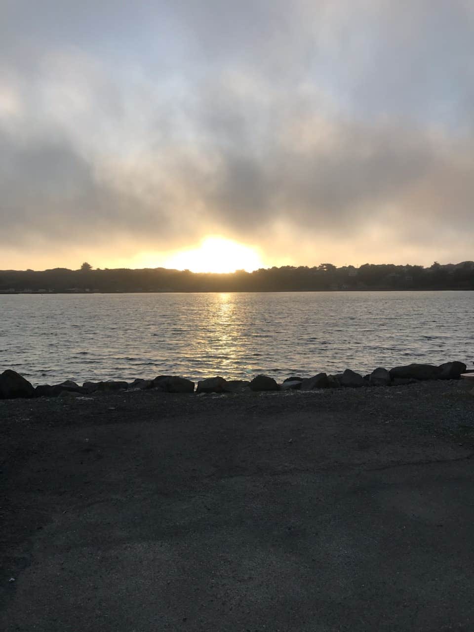 Camper-submitted photo at Porto Bodega Marina & RV Park near Rutherford, CA