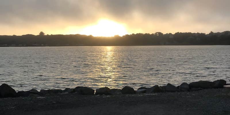 Camper submitted image from Porto Bodega Marina & RV Park