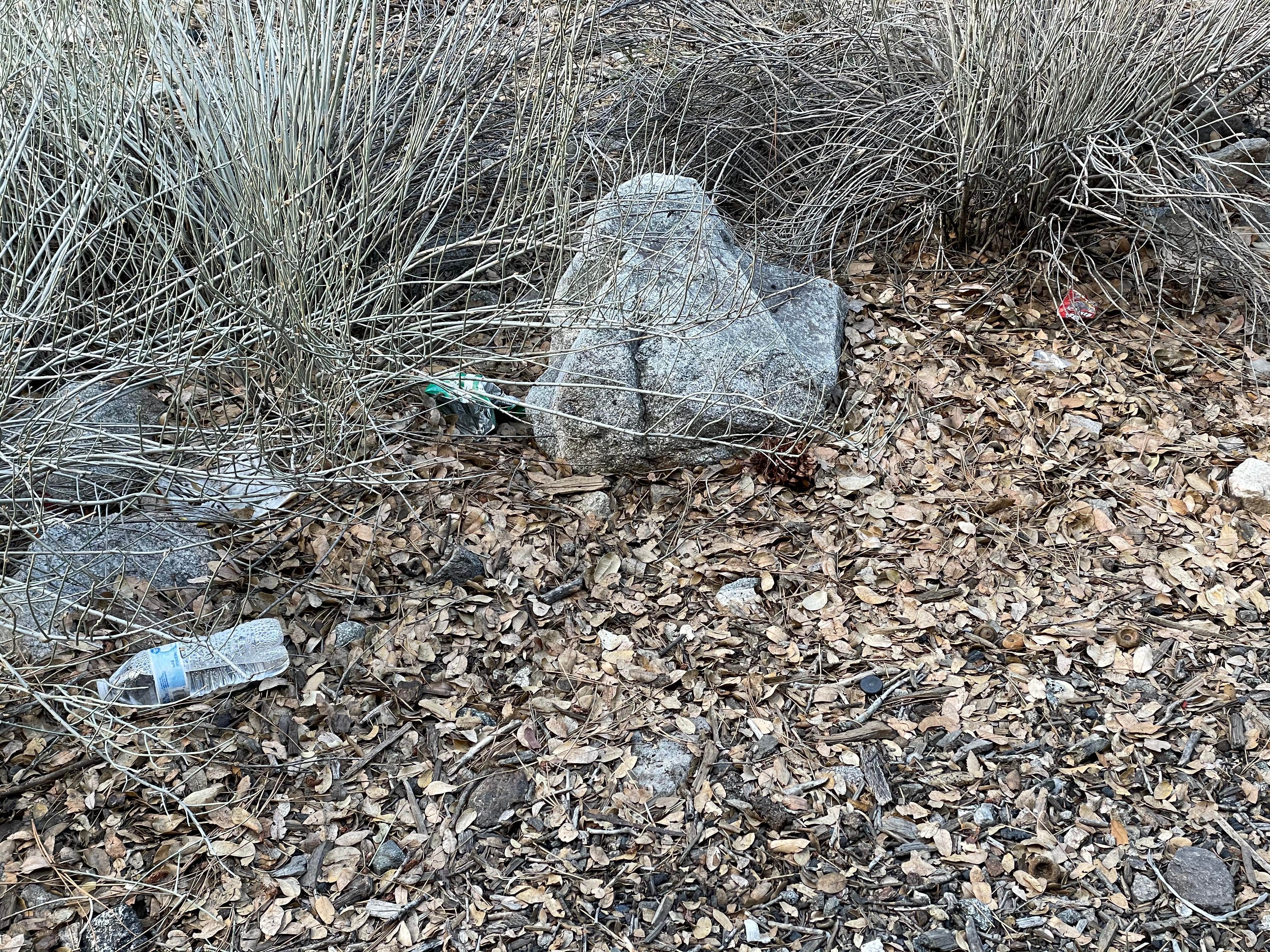 Camper-submitted photo at Crystal Lake Rec Area Campground near Mount Baldy, CA