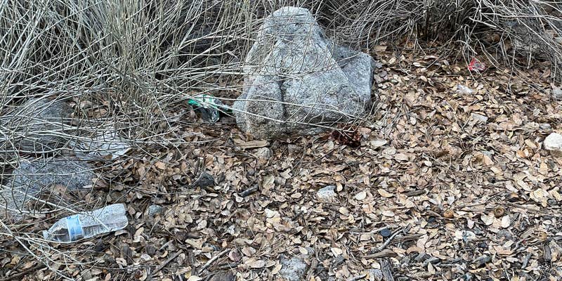 Camper submitted image from Crystal Lake Rec Area Campground