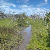 Review photo of Backcountry Clubhouse Beach — Everglades National Park by Lorraine , March 23, 2021