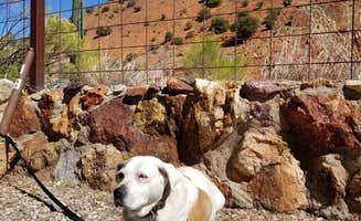 G. F.'s photo of camping with pets at Queen Mine RV Park near Tombstone, AZ