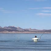 Review photo of Boulder Beach Campground — Lake Mead National Recreation Area by Erin A., March 23, 2021