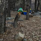 Review photo of Wild Cow Springs Campground by Charlie C., March 23, 2021