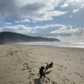 Review photo of Cape Lookout State Park Campground by Chris T., March 23, 2021