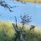 Review photo of Davis Bayou Campground — Gulf Islands National Seashore by John B., March 23, 2021