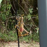 Review photo of Davis Bayou Campground — Gulf Islands National Seashore by John B., March 23, 2021