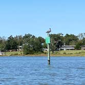 Review photo of Davis Bayou Campground — Gulf Islands National Seashore by John B., March 23, 2021