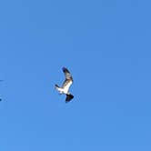 Review photo of Davis Bayou Campground — Gulf Islands National Seashore by John B., March 23, 2021