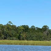 Review photo of Davis Bayou Campground — Gulf Islands National Seashore by John B., March 23, 2021