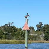 Review photo of Davis Bayou Campground — Gulf Islands National Seashore by John B., March 23, 2021