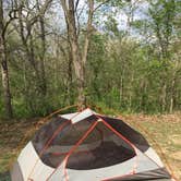 Review photo of Pulltite Campground — Ozark National Scenic Riverway by Annie C., May 30, 2018