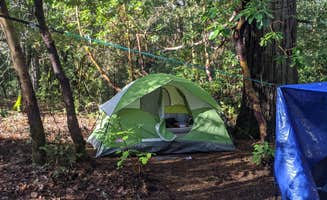 brittany M.'s photo at Indian Grinding Rock State Historical Park Campground near Wallace, CA