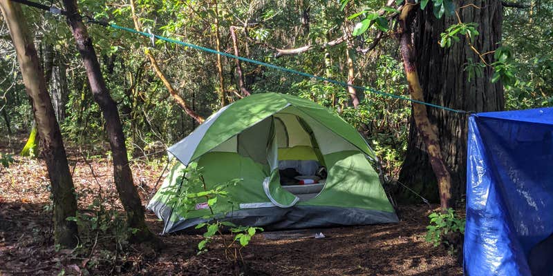 Camper submitted image from Indian Grinding Rock State Historical Park Campground