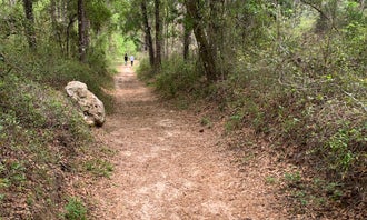 Withlacoochee State Forest - Annutteliga Hammock Trail