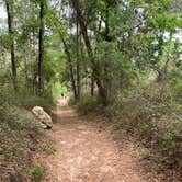 Review photo of Withlacoochee State Forest - Annutteliga Hammock Trail by CDCA , March 23, 2021