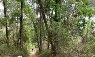 Camping near Weeki Wachee Christian Camp: Withlacoochee State Forest - Annutteliga Hammock Trail, Brooksville, Florida