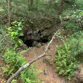 Review photo of Withlacoochee State Forest - Annutteliga Hammock Trail by CDCA , March 23, 2021