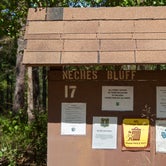 Review photo of Neches Bluff Overlook Campground by VanpeDiem D., March 23, 2021