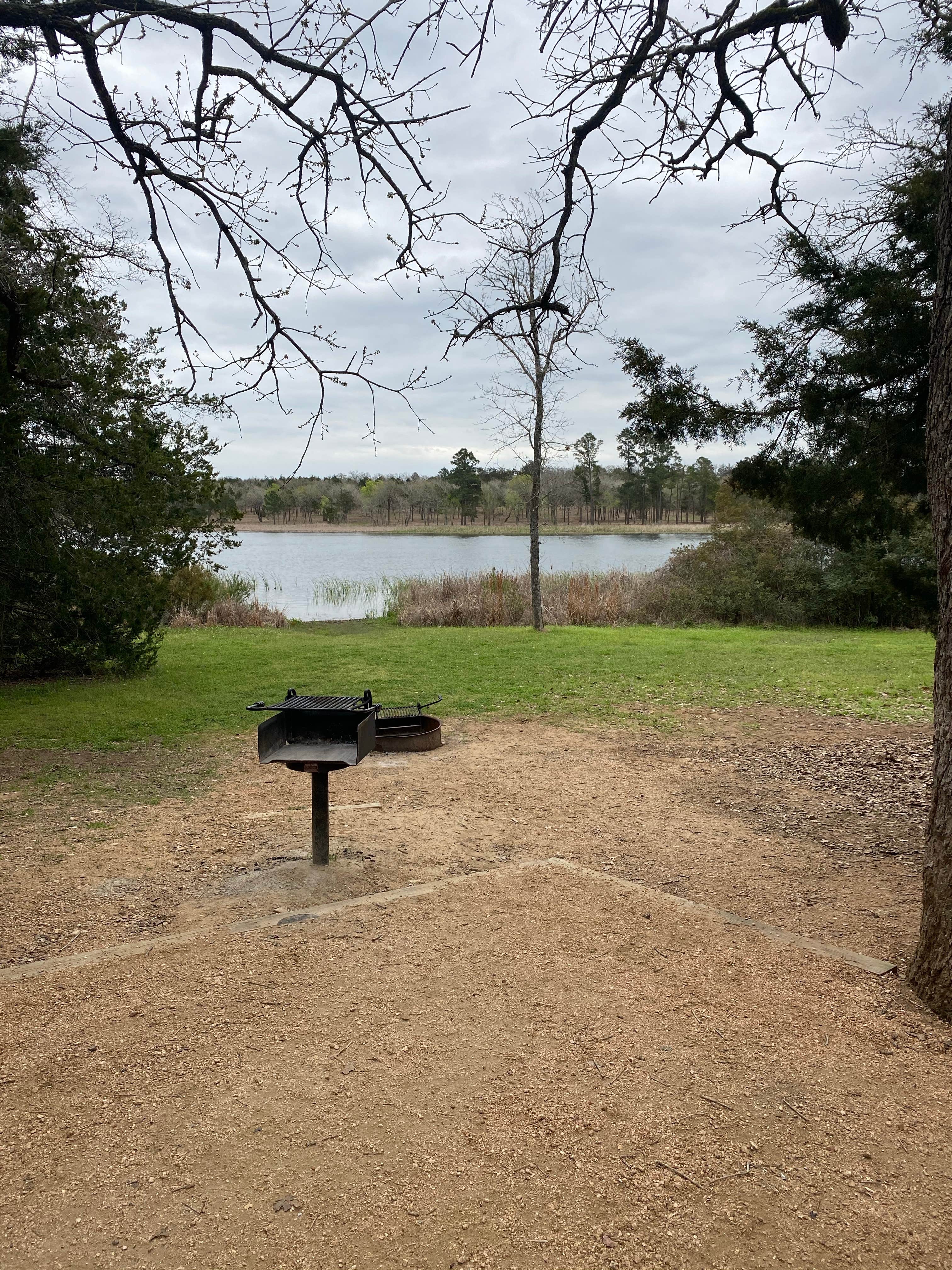 View All