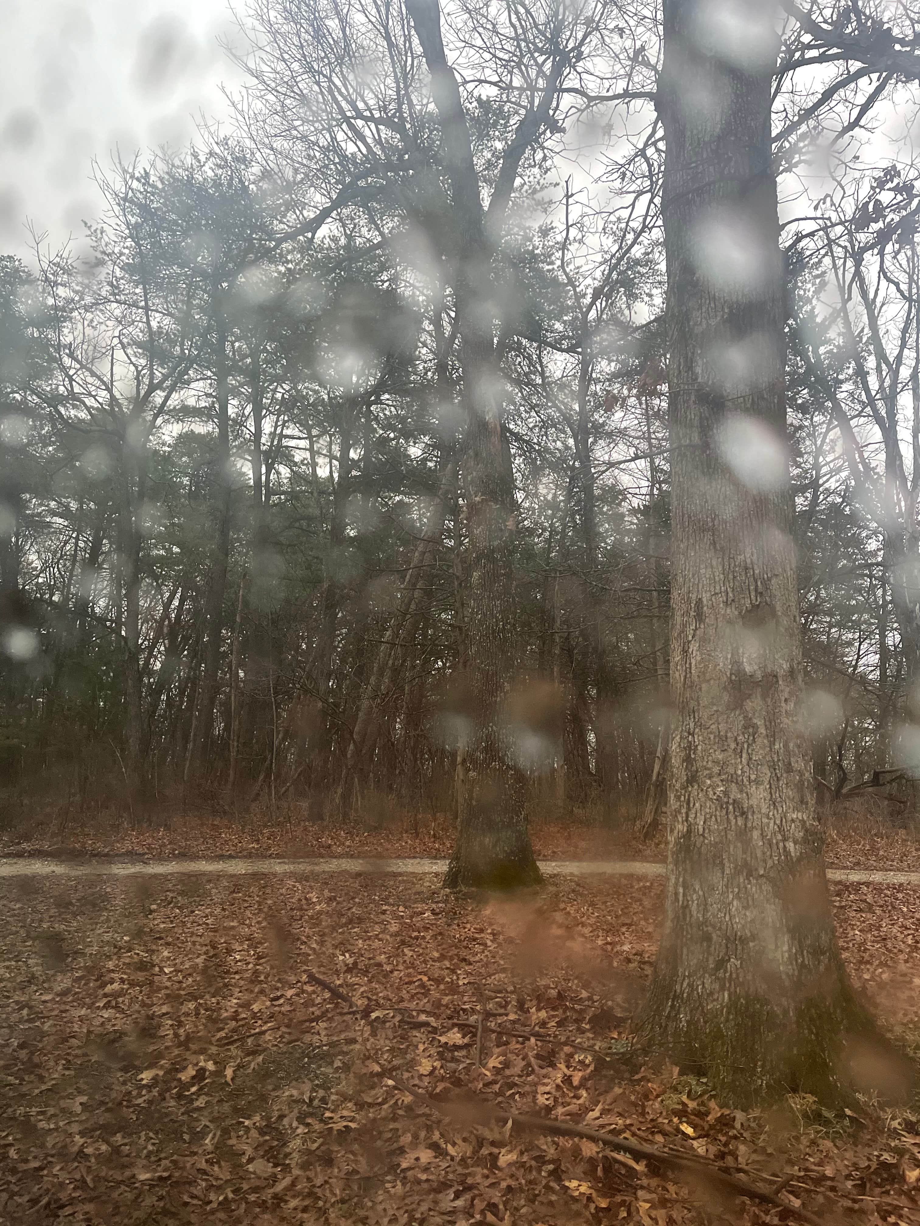 Camping near Graham Cave State Park Campground: Daniel Boone Conservation Area, Hermann, Missouri