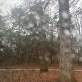 Review photo of Daniel Boone Conservation Area by Jessica , March 23, 2021