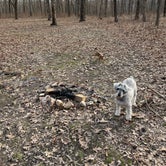 Review photo of Daniel Boone Conservation Area by Jessica , March 23, 2021