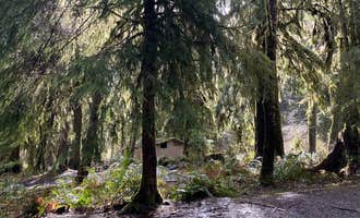 Camping near Hard Rain Cafe & RV Park: Hoh Oxbow Campground, Forks, Washington