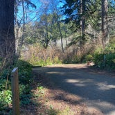 Review photo of Alder Dune Campground by Amy , March 23, 2021
