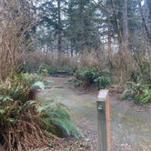 Review photo of Alder Dune Campground by Amy , March 23, 2021