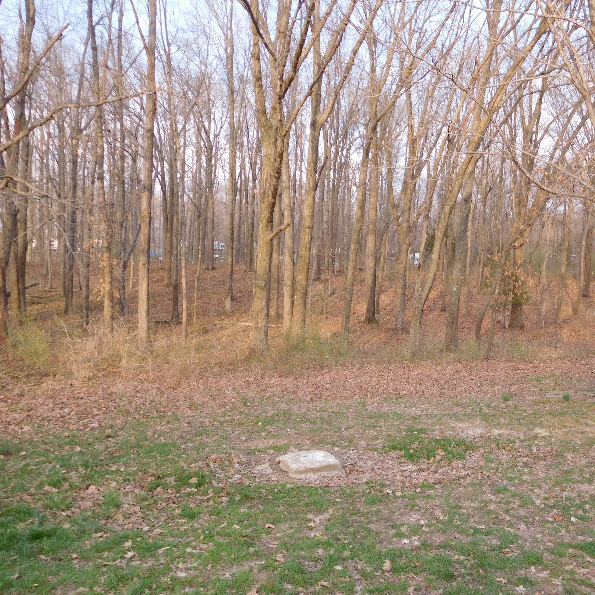 Rend Lake Gun Creek Campground Camping The Dyrt