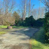 Review photo of Cape Lookout State Park Campground by Amy , March 23, 2021