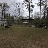 Review photo of COE Sam Rayburn Reservoir Twin Dikes Park by Debbie J., March 23, 2021