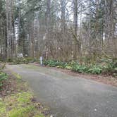 Review photo of Ike Kinswa State Park Campground by Amy , March 23, 2021