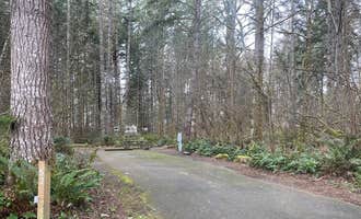 Camping near Seaquest State Park Campground: Ike Kinswa State Park Campground, Toutle, Washington