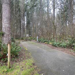 Ike Kinswa State Park Campground