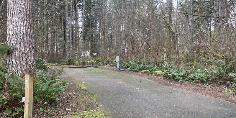 Camper submitted image from Ike Kinswa State Park Campground